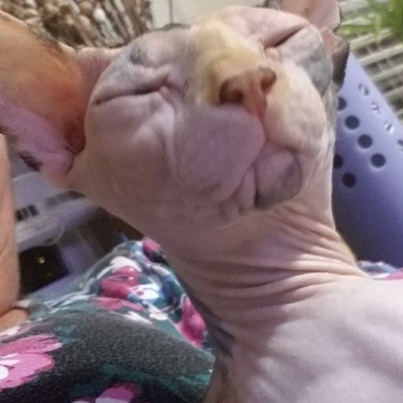 Meet your Posher, Jeff - Picture 1 of 1